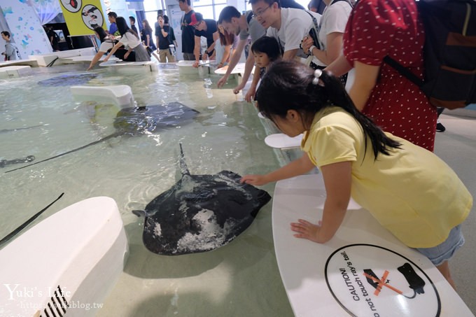 大阪景點 大阪海遊館 親子同遊好去處 可以摸鯊魚和魟魚哦 Yuki S Life